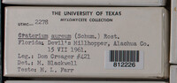 Image Associated With the Occurence